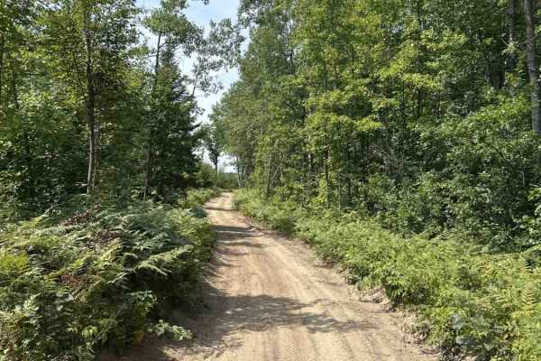 Ann Arbor Trail H7