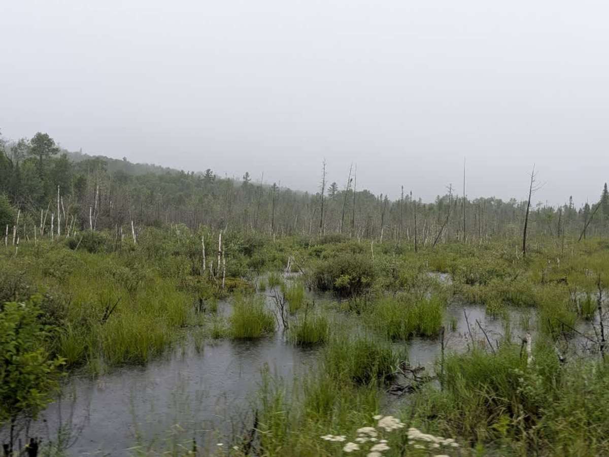 Tait Lake photo 6