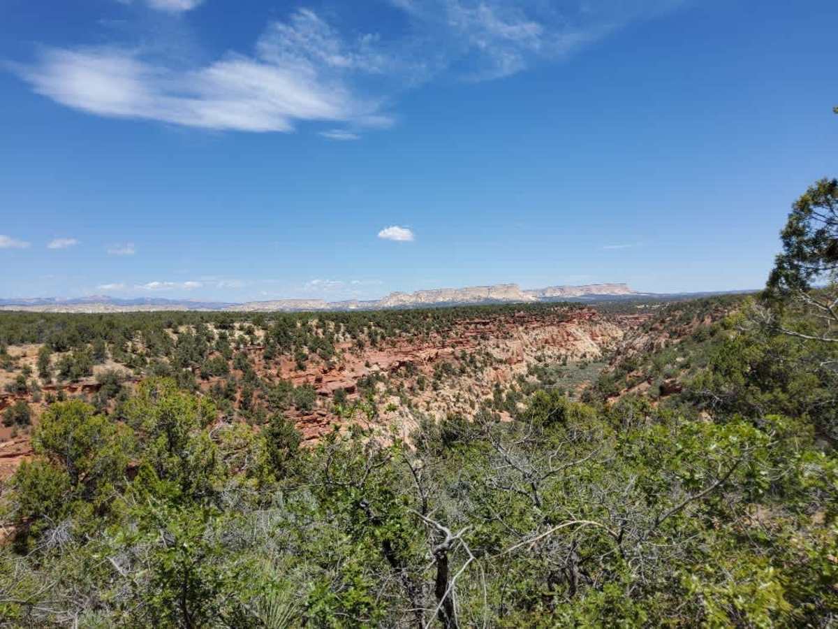BLM 104F trail photo