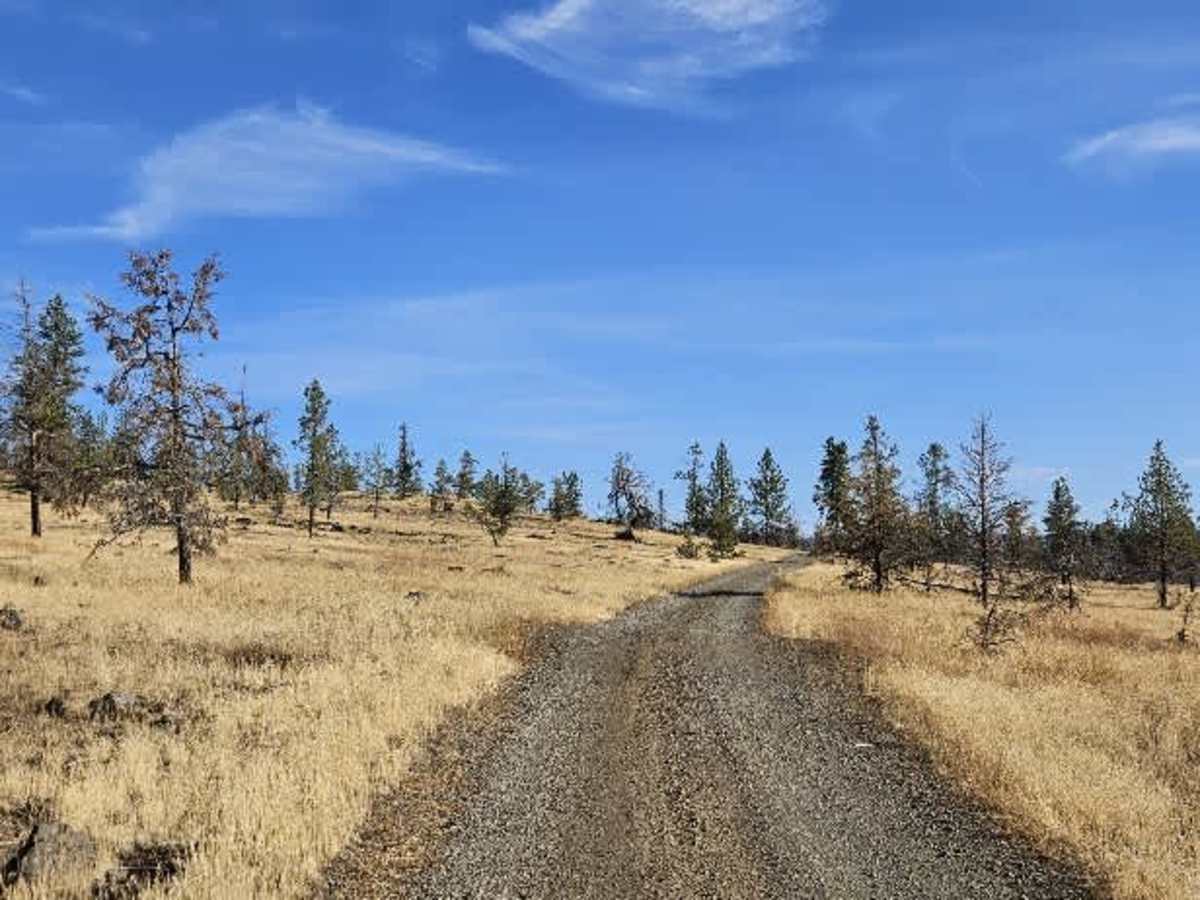 FS 4200800 trail photo