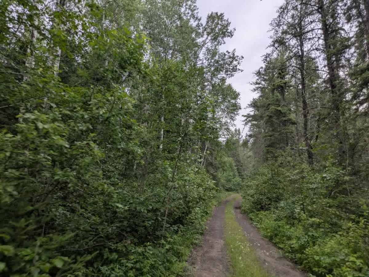 Snake River Road photo 5