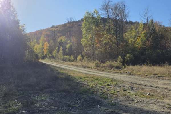 Abbott Road / Parmachenee Road