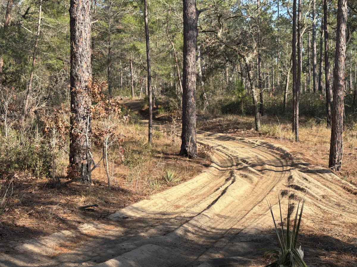 Leve 2 - FS 11 trail photo