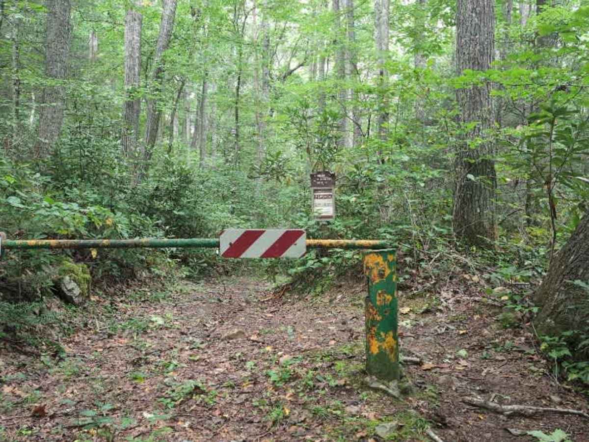 Horne Knob - FS 4530 photo 2