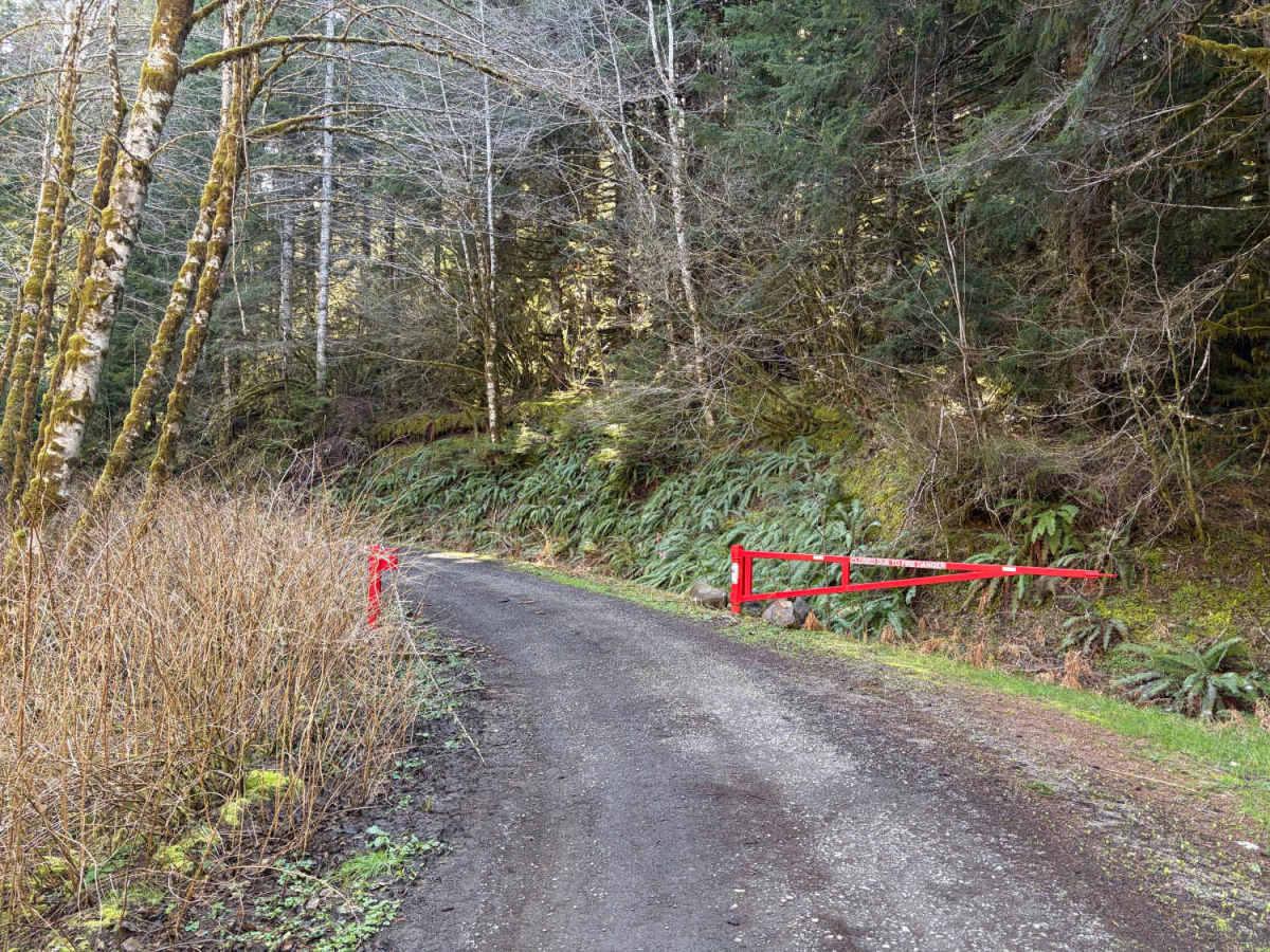 Section 10 Road photo 2