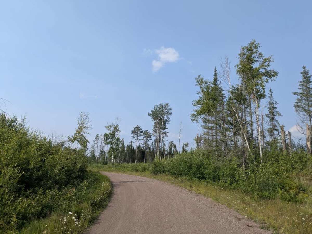 Silver Island Lake trail photo