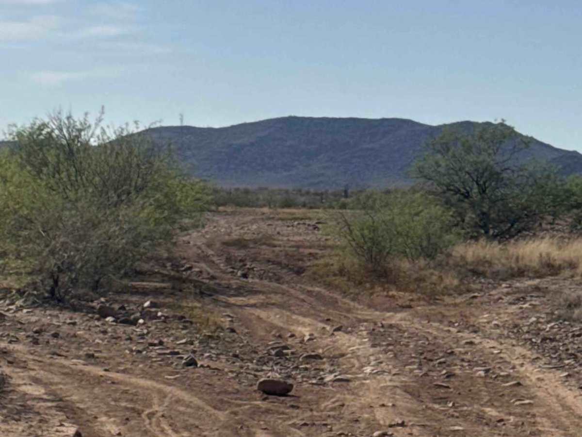 Trail of Opportunity  photo 4