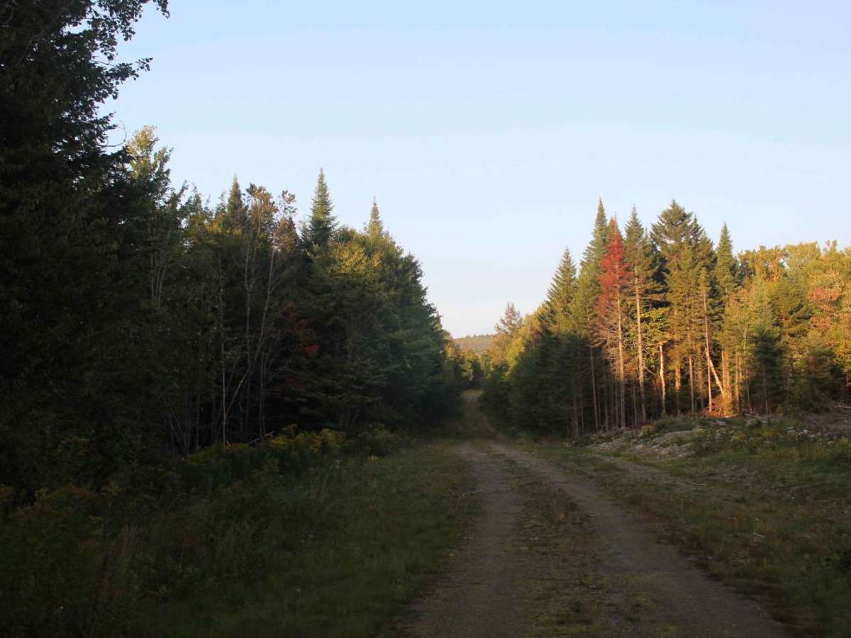 Gordons Trail trail photo