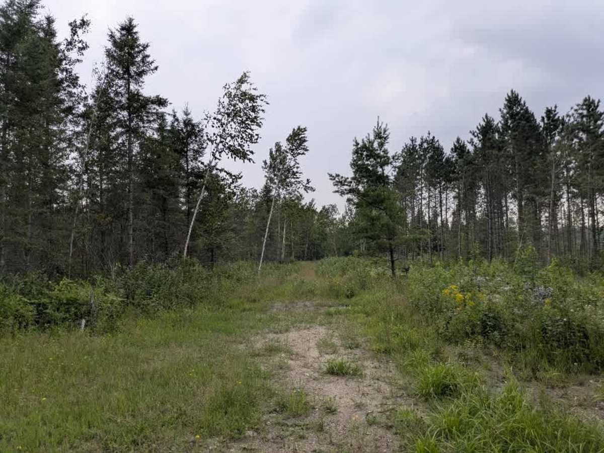 Fawn Creek Spur B photo 5