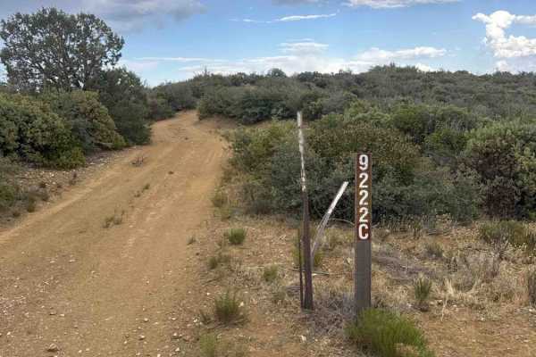 Bradshaw Trail - FS 9222C