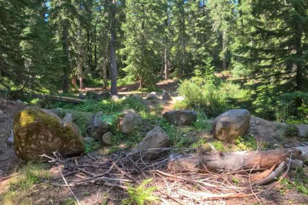 Scar Mountain Road - FS 2266310