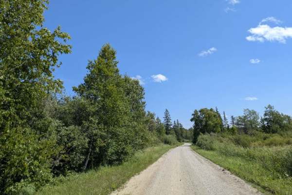Roosevelt Road
