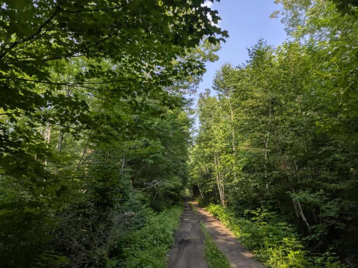 Caribou Trail photo 6