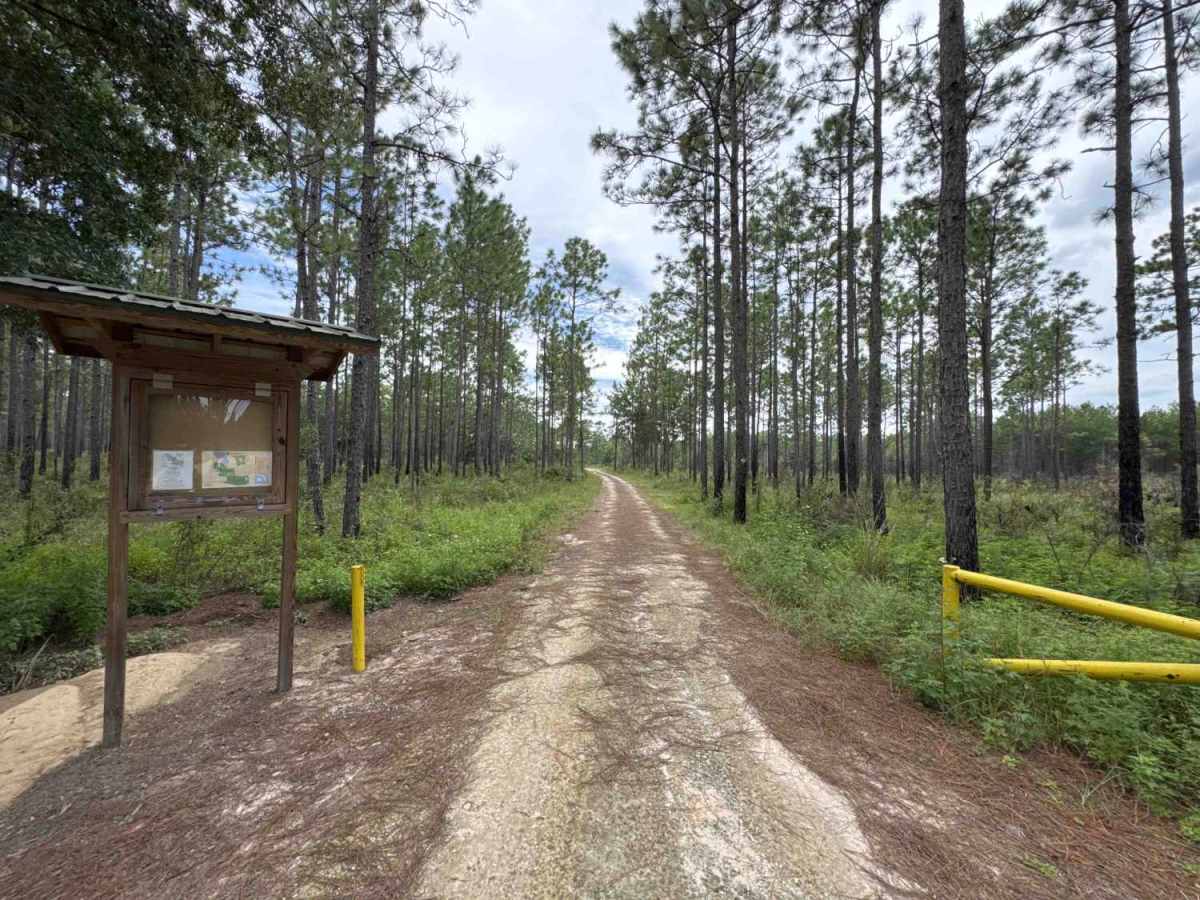 Tinsley Road trail photo
