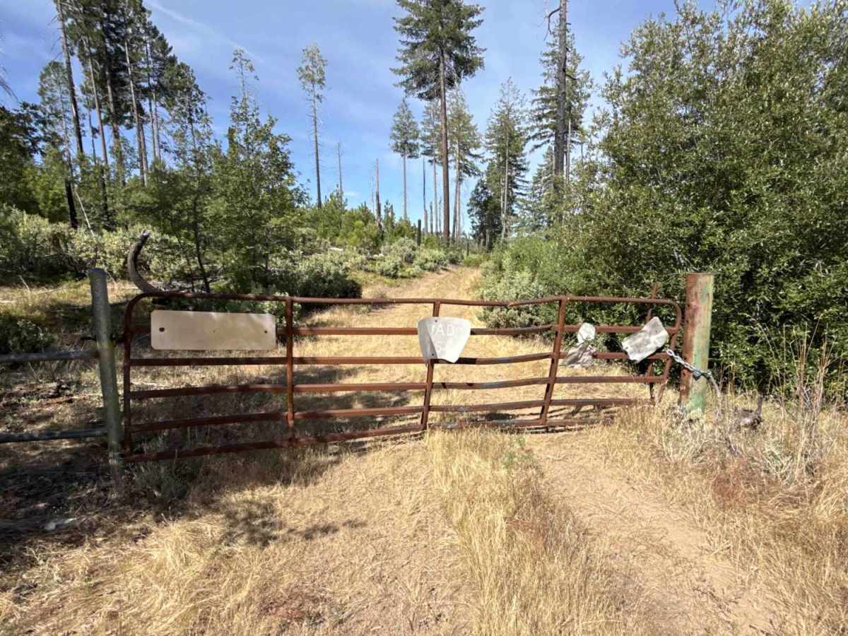 FS 1S51 trail photo