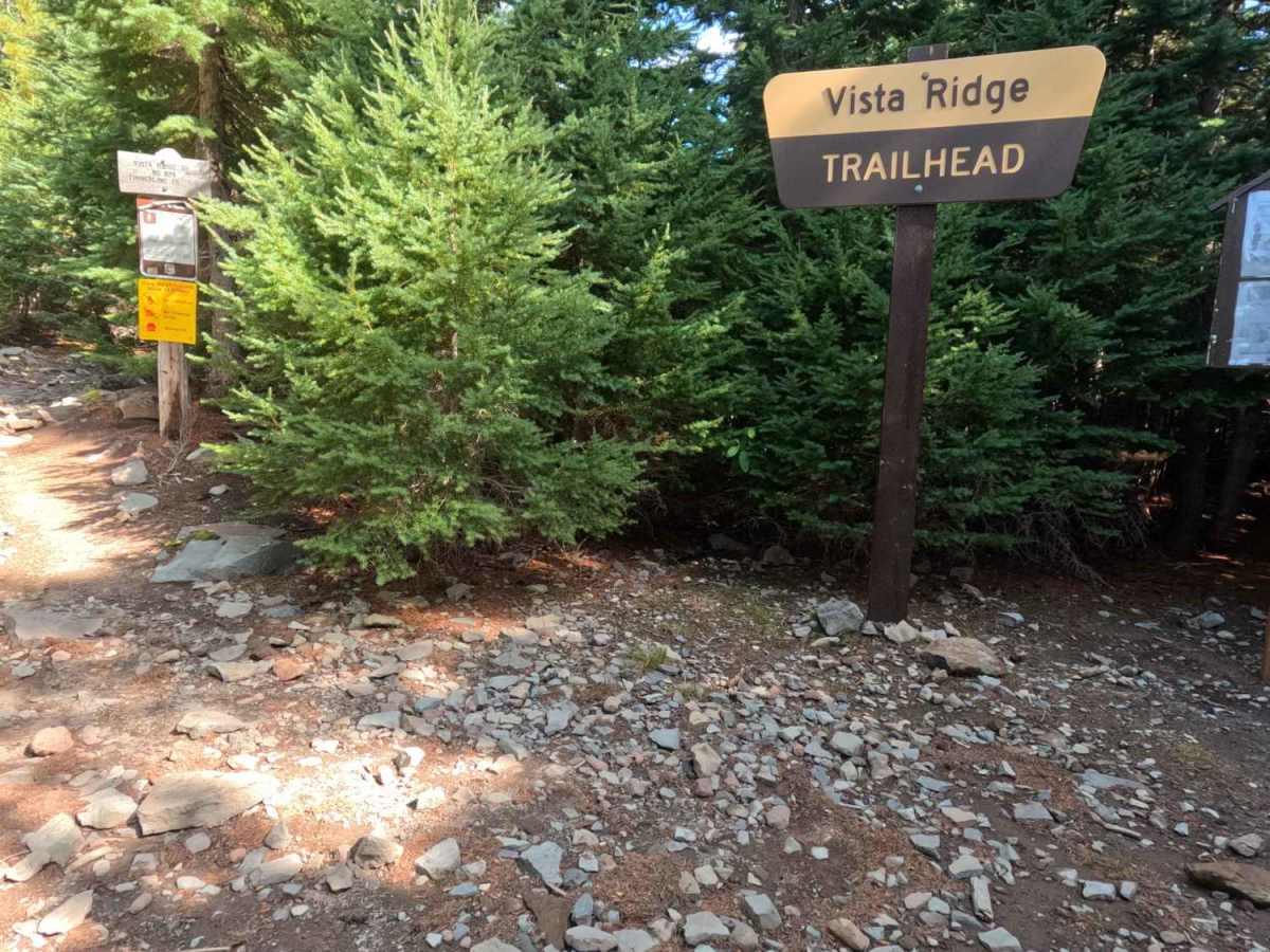 FS 1650-650 trail photo