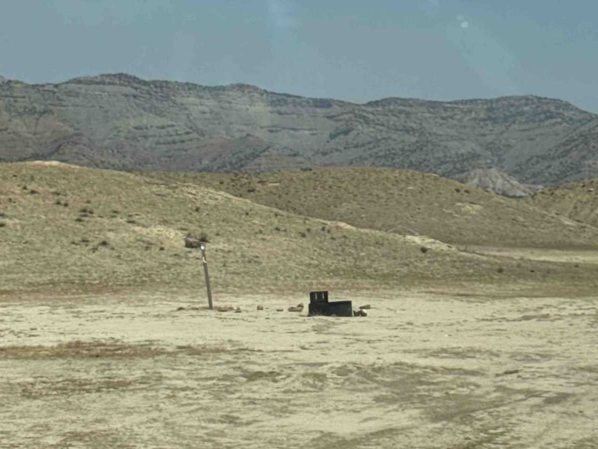 BLM 209X trail photo