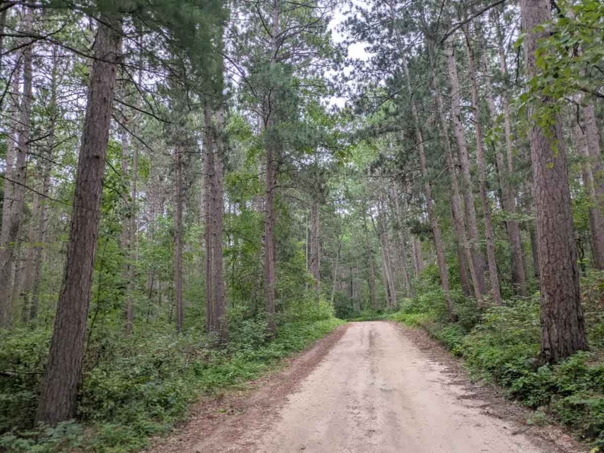 Bayview Loop photo 6