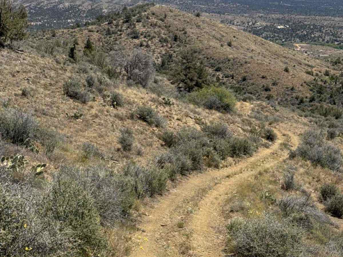 51012 trail photo