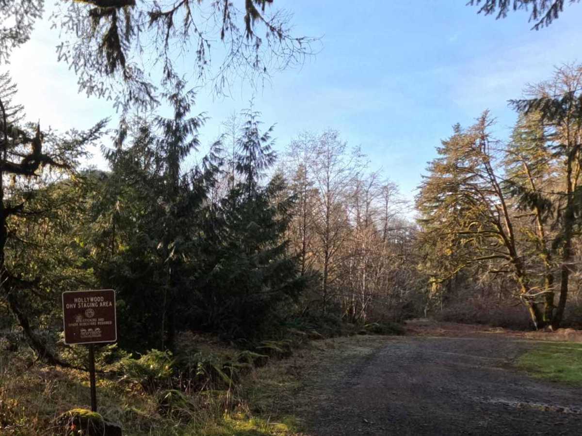 South Fork Trask River Road trail photo