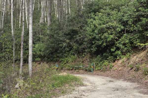 Little Pond Mountain