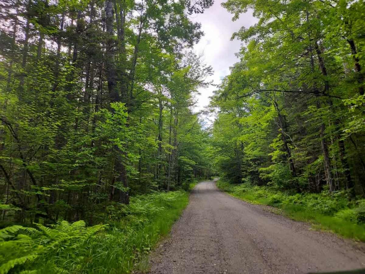 Brown Schoolhouse Road  photo 3