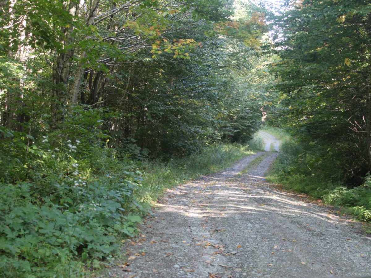 Rump Mountain Trail photo 6