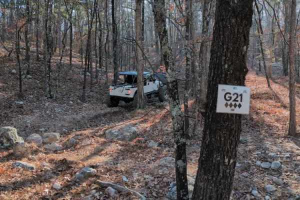 G21