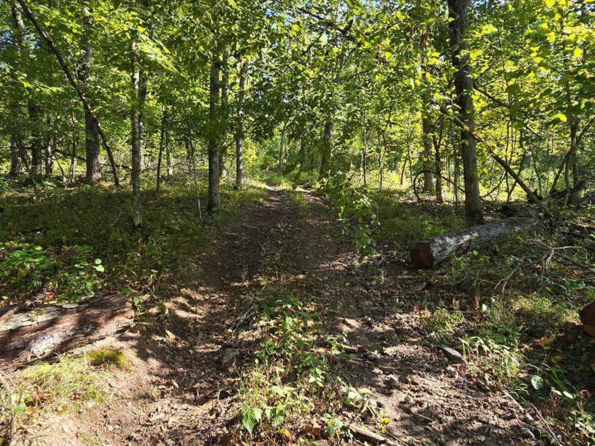 Turkey Ridge photo 5