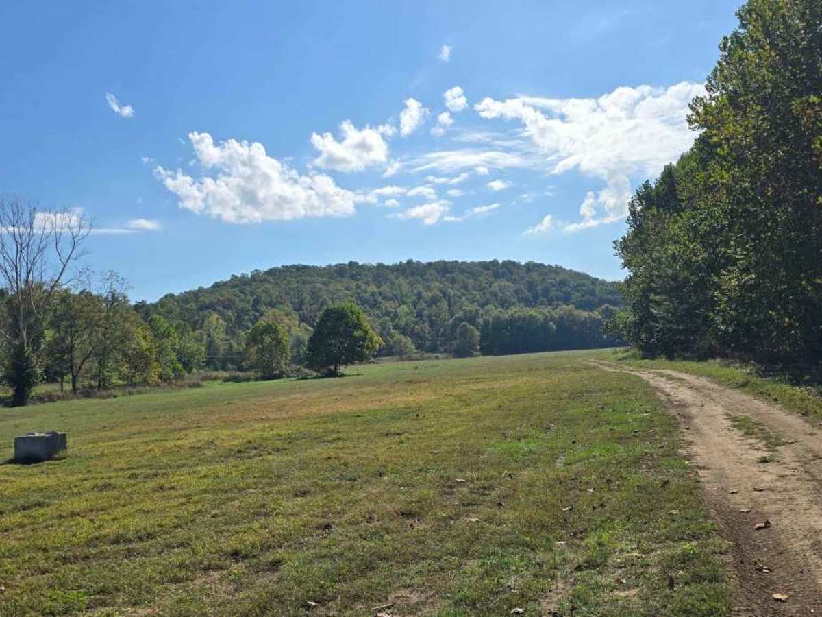 Lower Field Trail photo 6