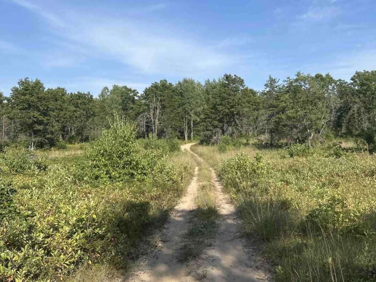 H8-3 Section 3 photo 3