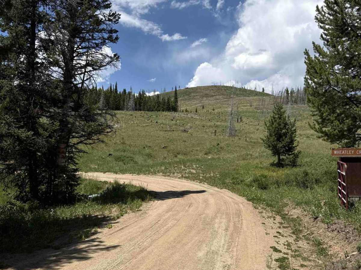 Dirty Bird Spur Road - 121 photo 4
