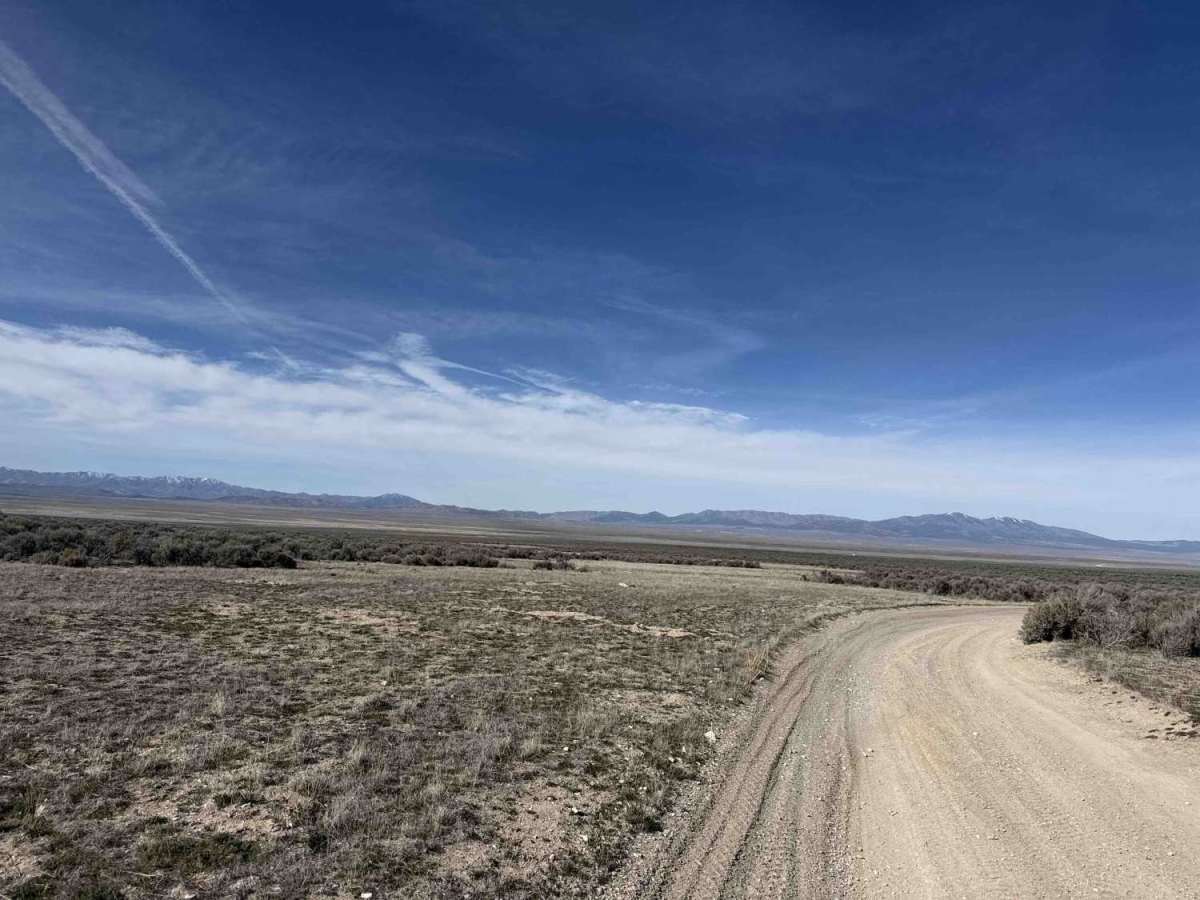 The Divide photo 3