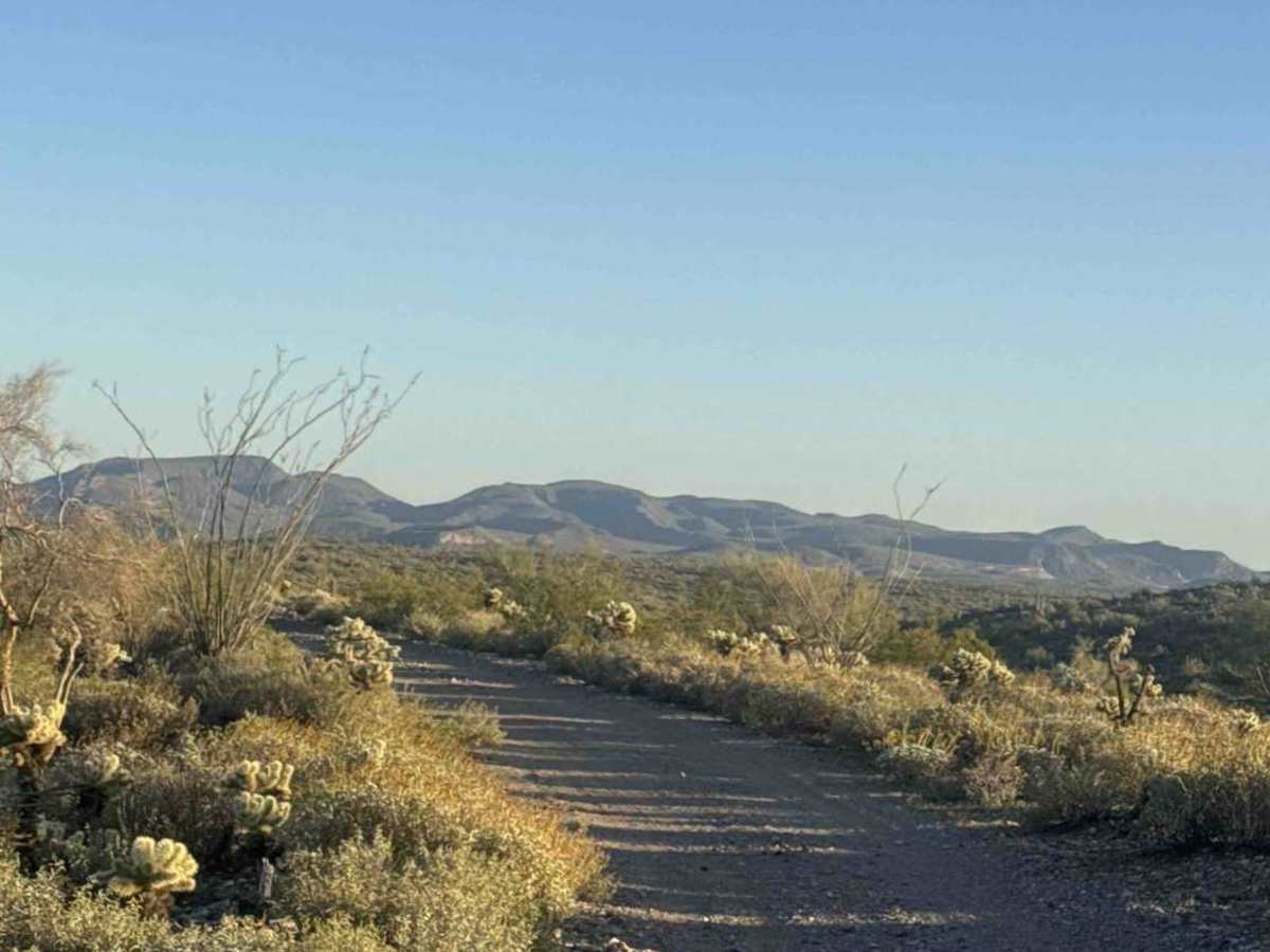 Cow Creek Ridge  photo 2