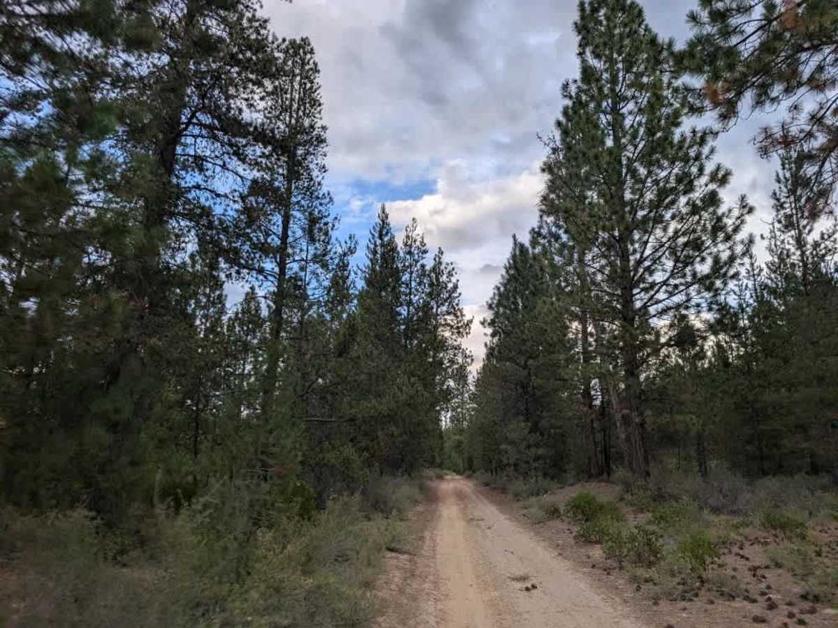 FS 4400330, Oregon | Off-Road Trail Maps, Difficulty, Trail Status ...