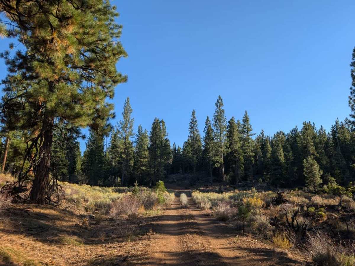 FS 33N53 trail photo