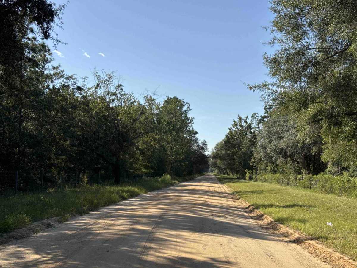 Old Starke Road trail photo