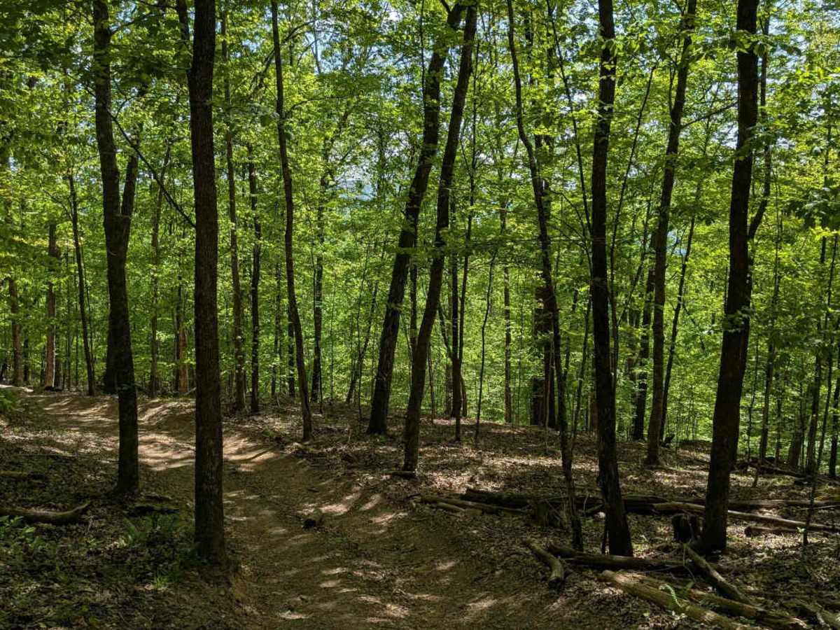 Trail 12 photo 3