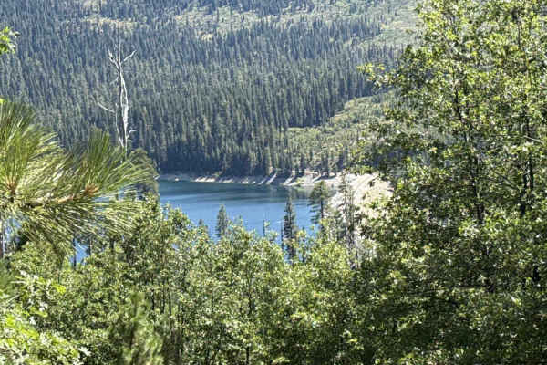 Lake Shore - FS 96-063