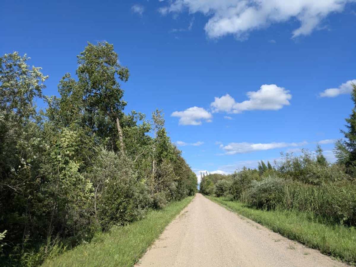 County Road 126 trail photo