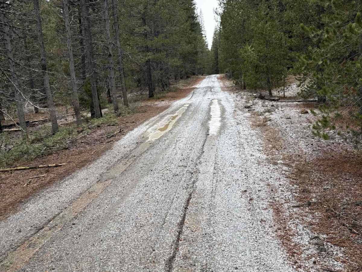 Forest Road 4613-000 photo 2