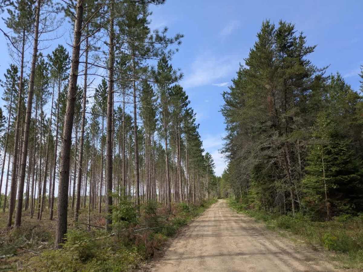 Spina Trail trail photo