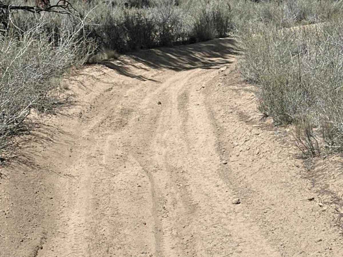 East Fort Rock OHV Trail 25 photo 5