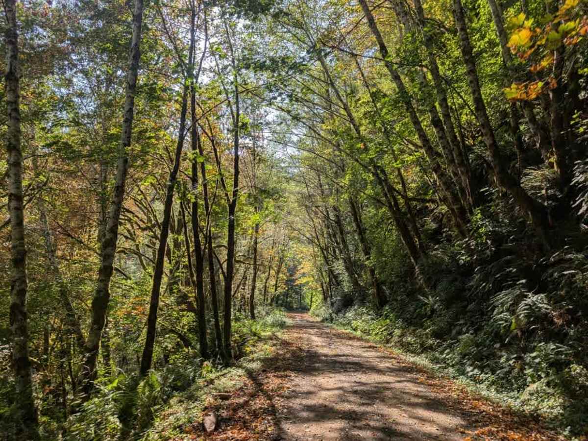 FS 56 trail photo