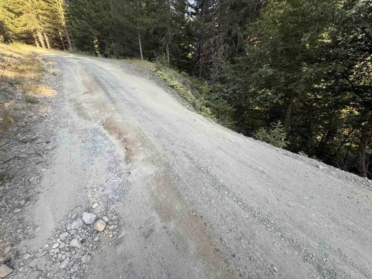 Merrill Lake Road - FS 81 photo 5