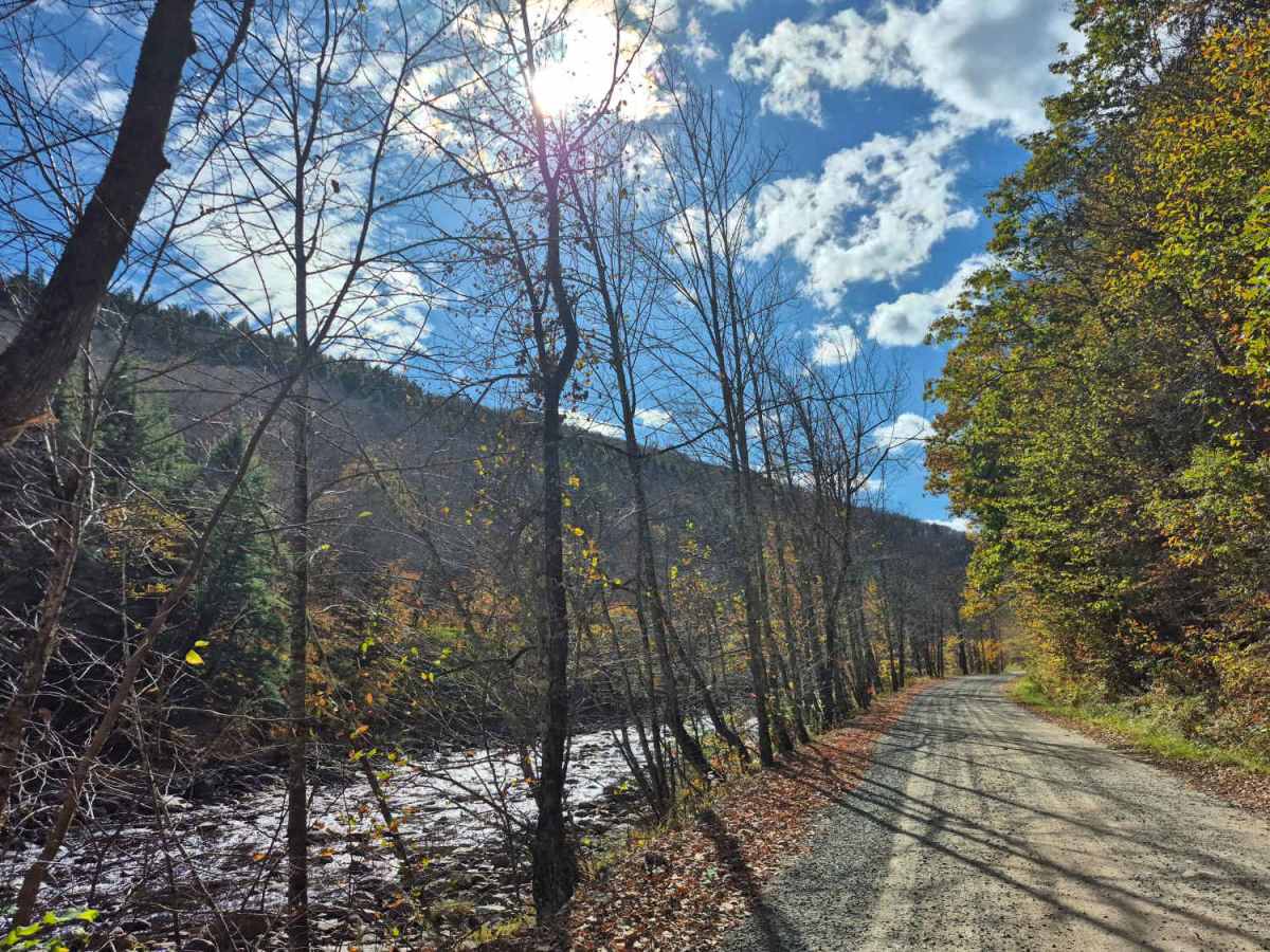 West River Road photo 3