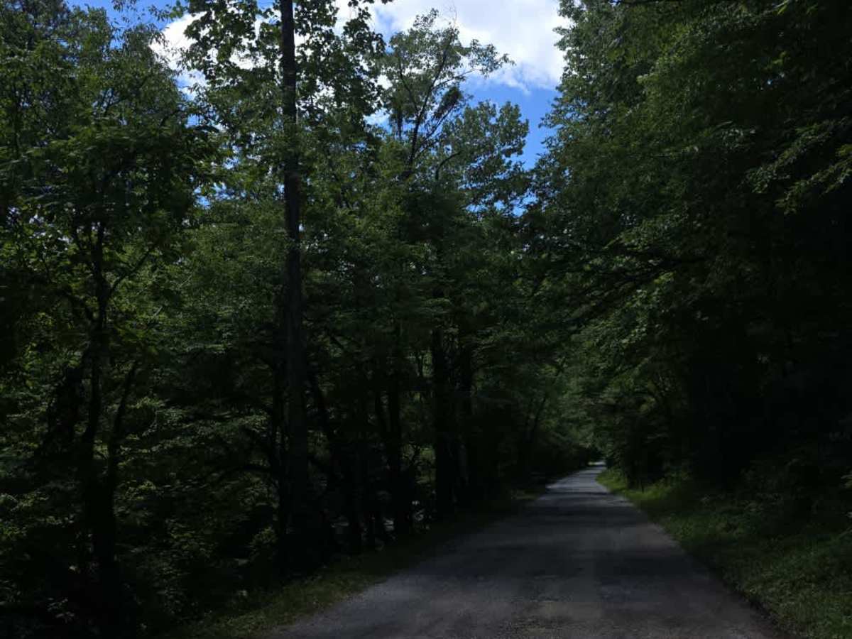 Upper Tremont Road photo 6
