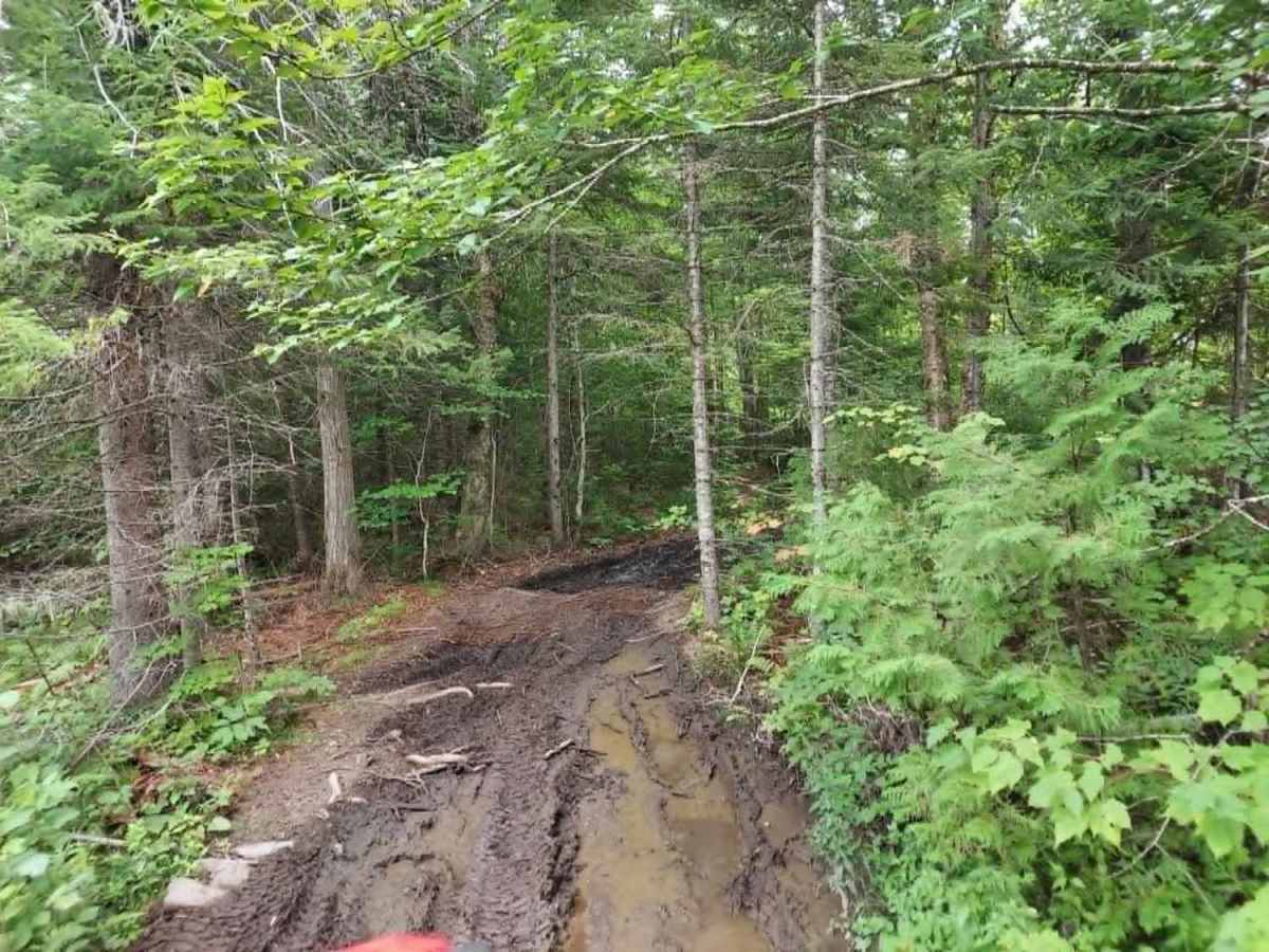 Timber Run trail photo