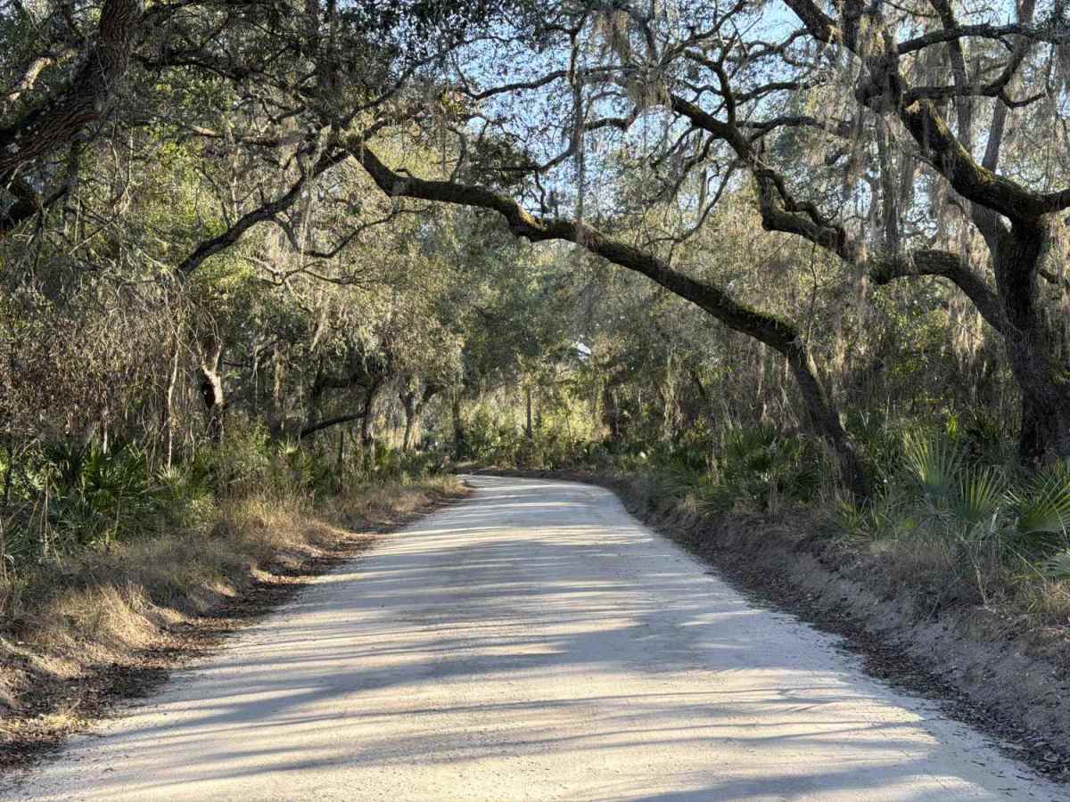 Lake Kerr Key - FS 316 trail photo