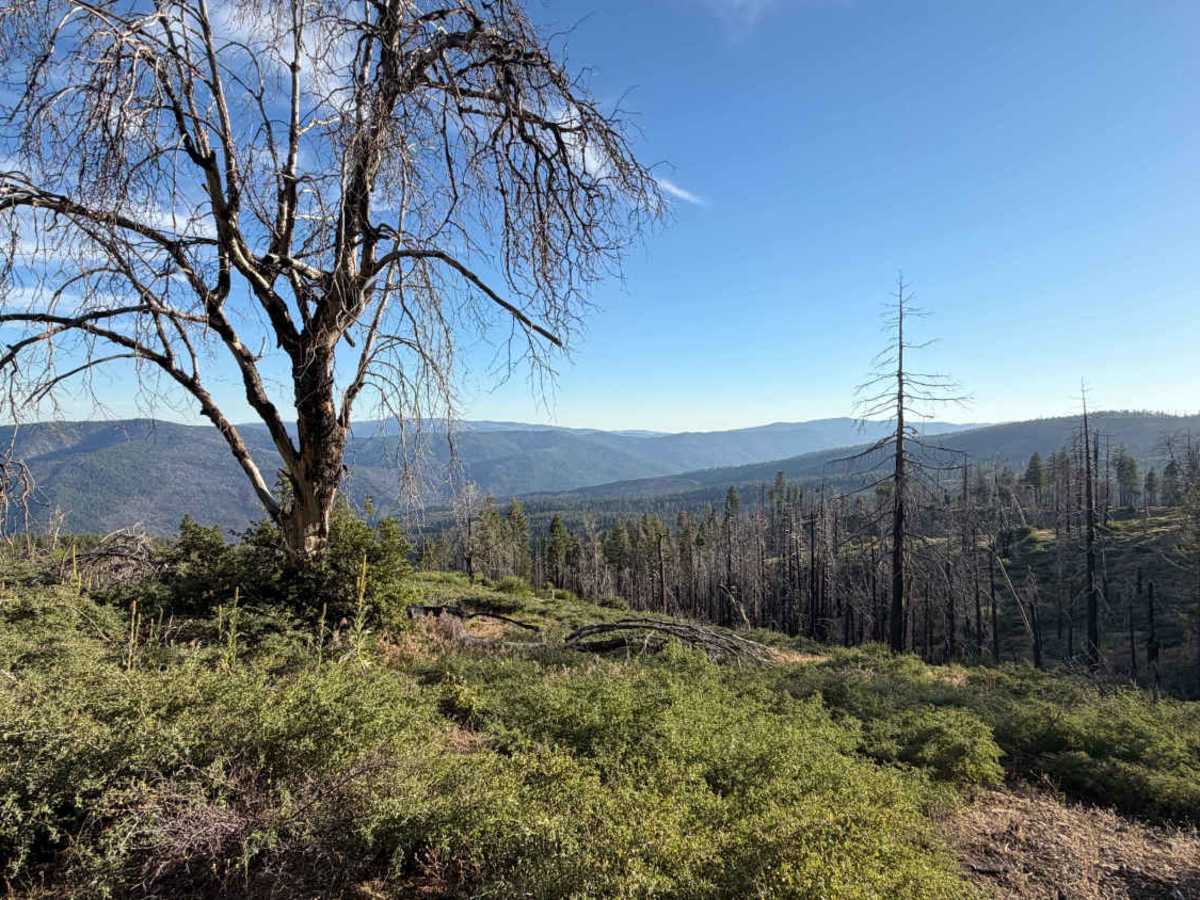 Trough Ridge Spur A - FS 24N05A trail photo